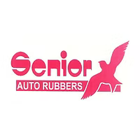 SeniorAuto_converted